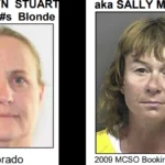 https://wp-cpr.s3.amazonaws.com/uploads/2024/11/Stuart-Vicki-Redacted-Affidavit.pdf